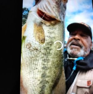 Meet your Posher, Lloyd